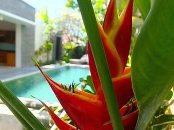 Mahalini Seminyak (Bali)